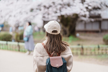 Woman tourist sightseeing Hirosaki Castle park with Sakura Cherry Blossom in Spring, traveler...