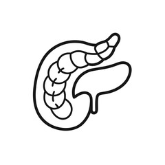 Human pancreas outline icon isolated on white background