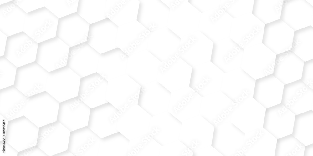 Fototapete background with hexagons . abstract background with lines . white texture background . hexagon abstr