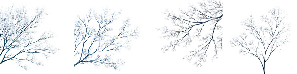 Obraz premium Bare Tree Branches Silhouettes Collection on White