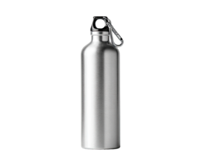 Silver metal water bottle with carabiner