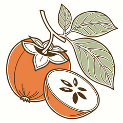 Stylized Persimmon Fruit with Branch and Leaves CrossSection Showing Seeds