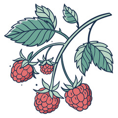 Stylized Raspberry Branch with Teal Leaves and Red Berries Illustration