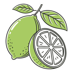Stylized Lime with CrossSection and Leaves