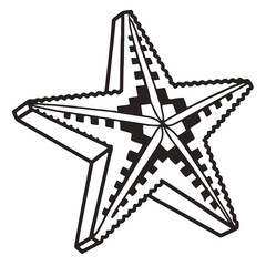 Stylized Starfish with Geometric Pattern Design