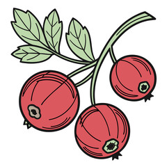 Vibrant Vector Illustration of Three Red Berries with Green Leaves