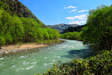 Fototapeta premium 春の赤石川