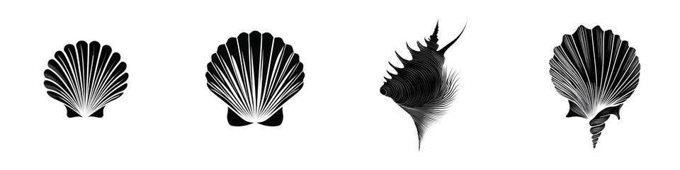 Elegant Seashell Illustrations: Decorative Art