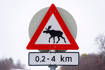 Moose Crossing Sign - Norway