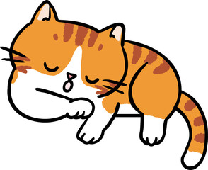 Cute Cartoon Cat Sleeping Character