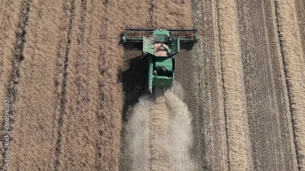 Poster a combine harvester is seen from above as it moves through a wheat field, creating a cloud of dust b
