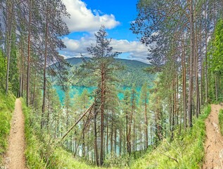Fototapety na wymiar - Fototapeta24.pl