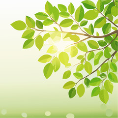 Obraz premium Rich green tree branch with roundish bokeh