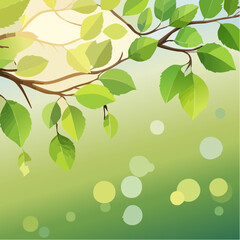 Obraz premium Rich green tree branch with roundish bokeh