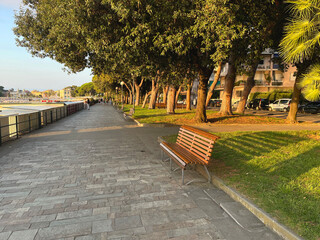 Bench in park with pine trees on sea coast of Italy, Liguria. Tourism and recreation. Nature and health