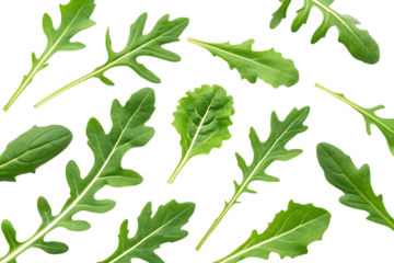 Fresh arugula leaves pattern on white background.  Perfect for food blogs, recipes, and healthy eating concepts.