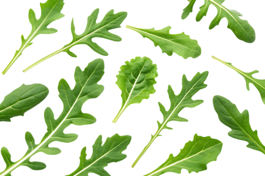 Fresh arugula leaves pattern on white background.  Perfect for food blogs, recipes, and healthy eating concepts.