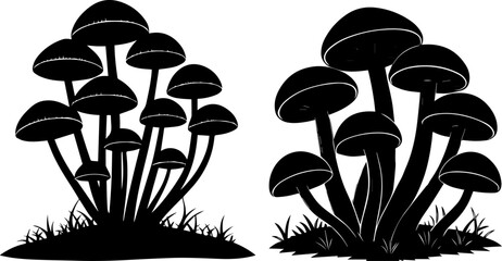 Mushroom Cluster Silhouettes - Forest Fungi Growth