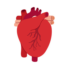 Human heart organ vector illustration. Simple flat design for posters, banners, and cards. Cardiology, surgery, medicine topic. Heart icon isolated on white bg