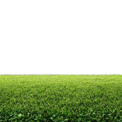 Lush green lawn against black