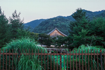 Hidden behind layers of lush greenery and framed by forested mountains, a traditional Japanese temple roof emerges in quiet harmony