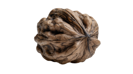 Close up Of A Single Nut isolated On transparent Backgrounds