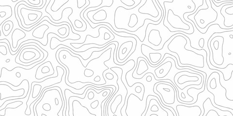 Obraz premium Abstract minimal The patter discovery vector topo map creative discovery White wave grid stripe line map topography. vector geographic contour mounted map background. 