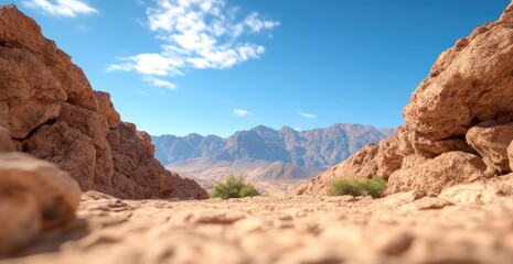 Fototapeta premium Desert valley path landscape