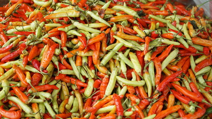 the best quality chilies in Aceh