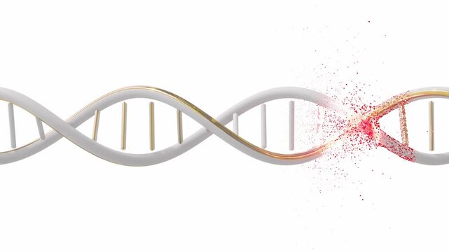 DNA Simulate destruction or repair. Designed to be simple Using white, gold on white background and green screen. Can be used in cosmetic industry or science. Animation Seamless looping, 3D Render.