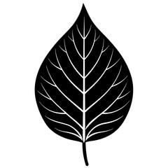 vector leaf icon