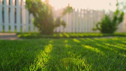 Green lawn against the backdrop of sunset, sun rays falling on green grass - Powered by Adobe