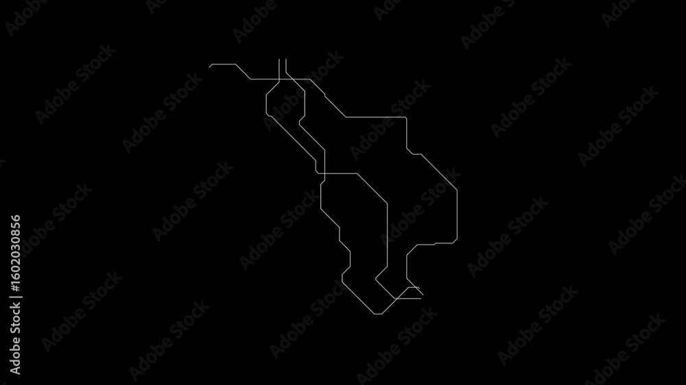 Poster white lines appear on a black background. they move and grow, creating an abstract and intriguing vi