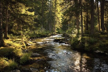 Autumn stream flows through a vibrant forest with rocks and trees
