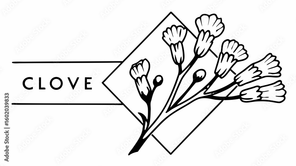 Poster clove flower illustration with a square frame and text banner in a minimalist black and white style 