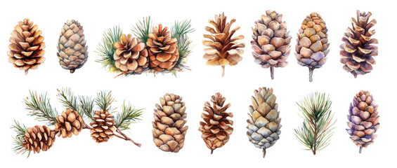 Christmas Watercolor pine corns and fir brunches decor Winter holiday illustration clip art
