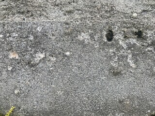 Textured stone surface displaying a mix of grey tones and organic patterns.
