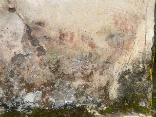Weathered wall surface revealing textures and colors of age and nature.