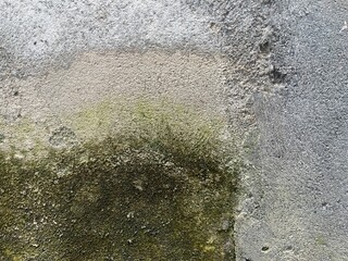 Textured wall surface with a mix of earthy tones and subtle moss.
