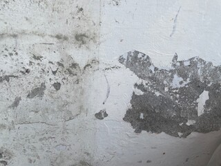 Close-up of weathered wall showing peeling paint and textured surface.