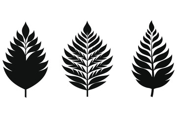 fern leaf black and white minimalist simple vector silhouettes set