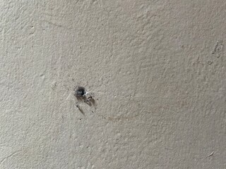 A close-up of a small hole in a textured wall.