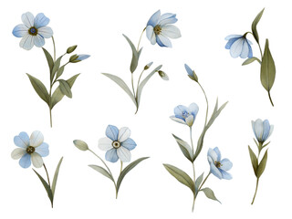 Delicate Watercolor Blue and White Floral Set on Transparent Background