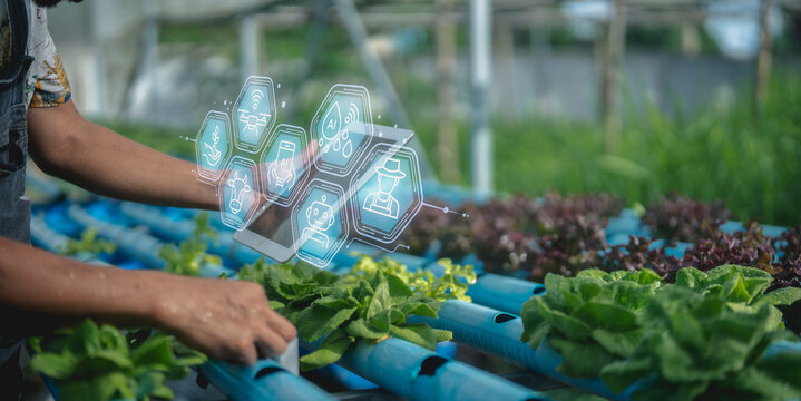 A person tends to hydroponic plants with digital futuristic icons illustrating technology integration in agriculture.