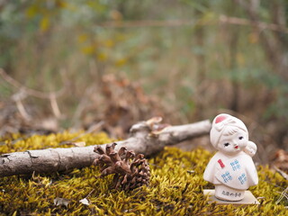 ( Hi-resolution and Hi-sharpness from Hi-efficiency camera and lens )  Plaster Doll  with blurred background autumn forest for background and wall paper.