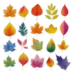 Obraz premium Collection of vibrant watercolor autumn leaves in various shapes and colors isolated on transparent background