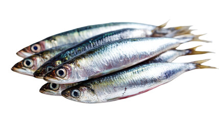 Fresh sardines on a white isolated background.