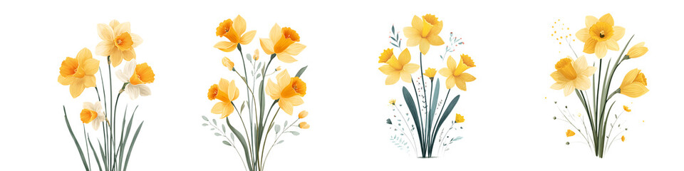Fototapeta premium Watercolor Daffodil Flower Bouquets on White
