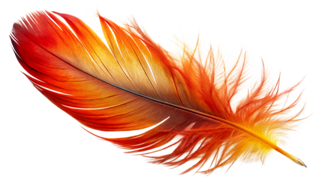 A single vibrant feather with a gradient of red orange and yellow hues isolated on a transparent background 1