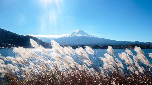 Lake kawaguchiko , fuji mountain